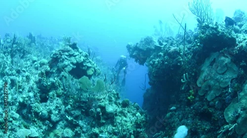 Diver in reef crevice