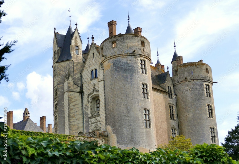 Le château de la ville de Montreuil-Bellay au bord de la rivière le Thouet