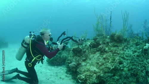 Photographer taking photograph underwater