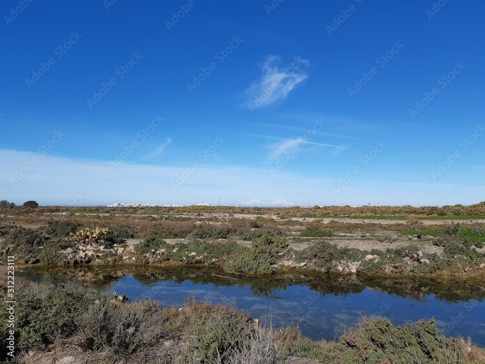 Lecho de marismas