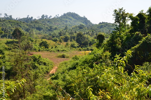 Spaziergang bei Ngwe Saung, Myanmar photo