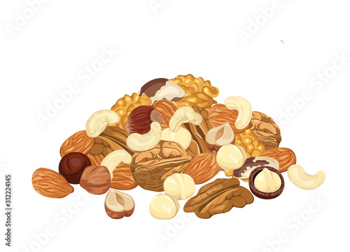 Heap of different nuts isolated on white background. Pile of Almond, walnut, pecan, macadamia, cashew, brazil nut and hazelnut. Vector illustration of organic healthy food in cartoon flat style. photo