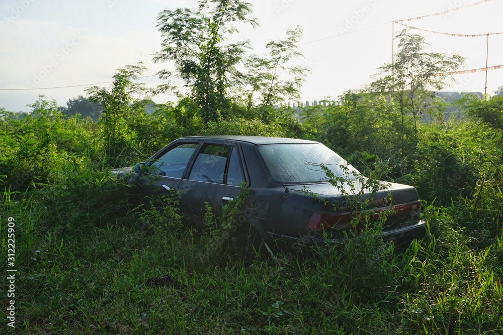 Tasikmalaya, Indonesia, June 30, 2017. The black sedan car was abandoned until it was overgrown with bushes around it. Tasikmalaya, Indonesia, June 30, 2017. The black sedan car was abandoned until it was overgrown with bushes around it.