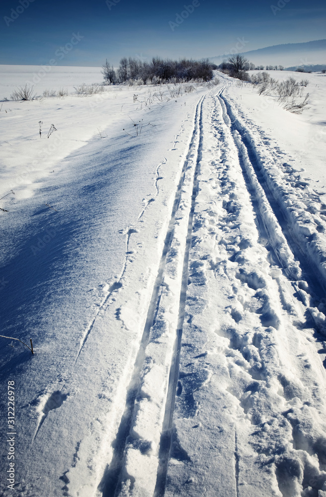 cross-country ski run through snowy landscape cross-country ski run through snowy landscape