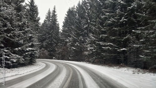 road in winter forest