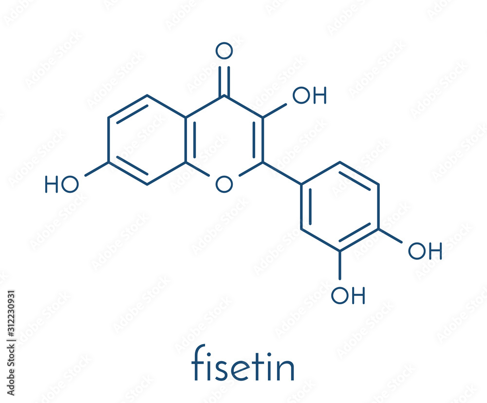 Fisetin plant polyphenol molecule. Skeletal formula. Fisetin plant polyphenol molecule. Skeletal formula.