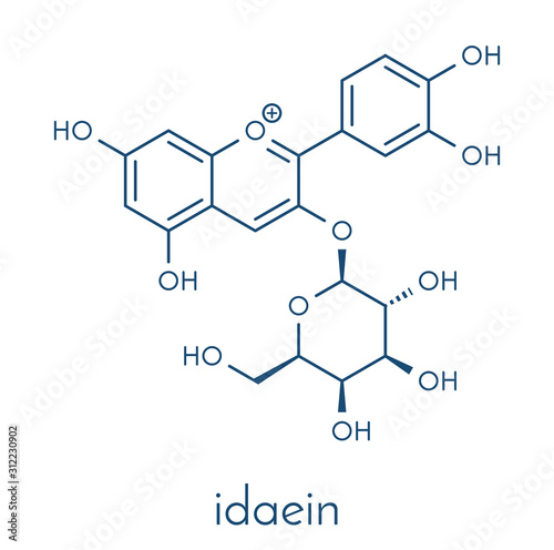 Ideain plant pigment molecule. Skeletal formula. photo