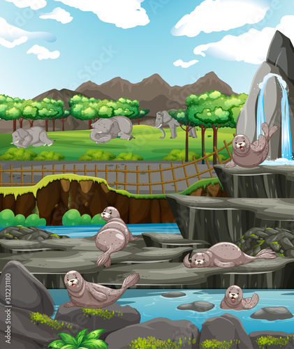 Scene with animals at the zoo
