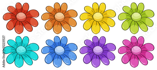 Isolated set of flowers