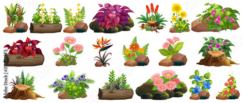 Large set of colorful flowers on rocks and wood