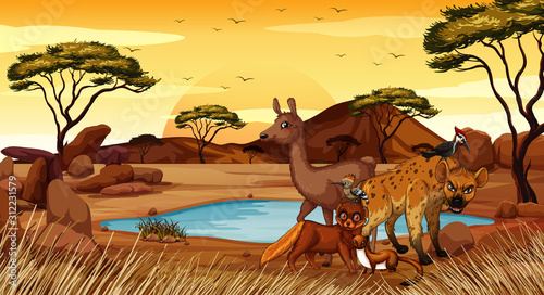 Scene with animals in the savanna field
