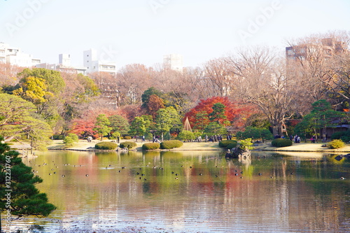 日本の東京都の六義園と言う日本庭園の秋の風景