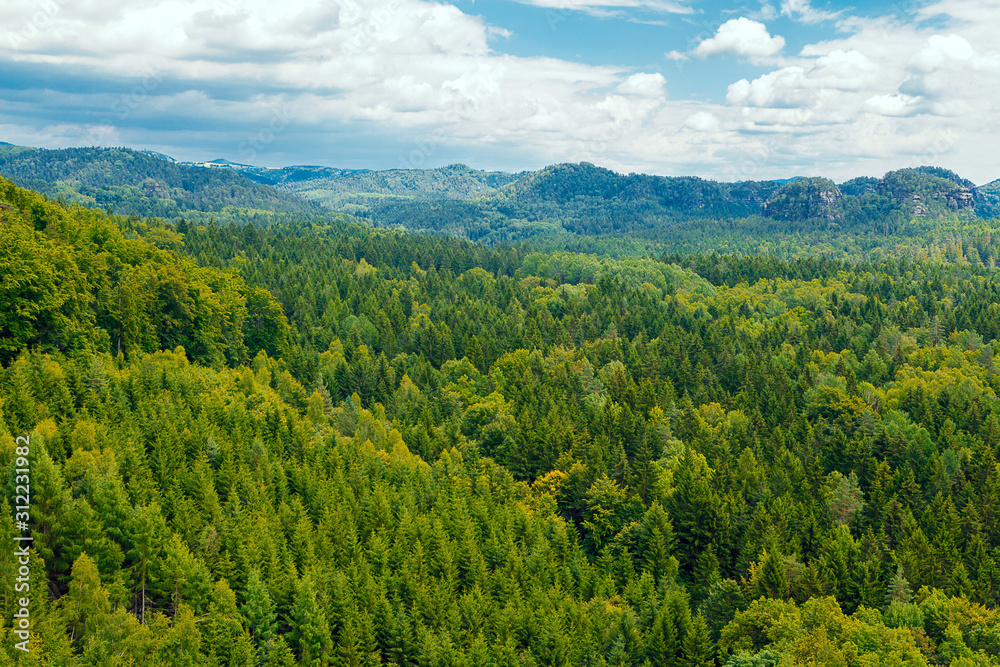 Naklejka premium Bergwald in Mittelgebirge im Frühjahr mit verschiedenen Grüntönen sowie Bergkuppen und Tafelbergen im Hintergrund