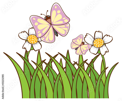 Butterflies in garden on white background