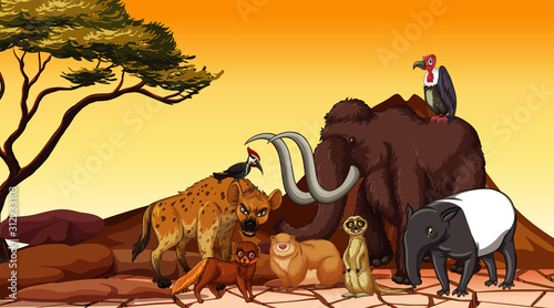 Scene with many animals in the field