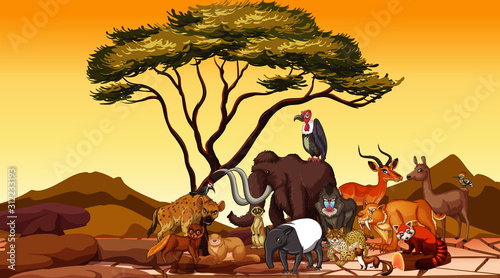 Scene with many animals in the field