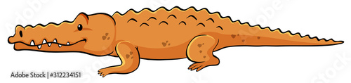 Orange crocodile on white background