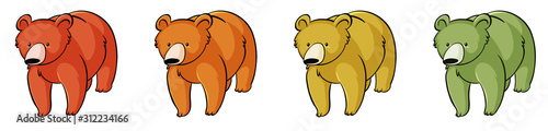 Four bears on white background