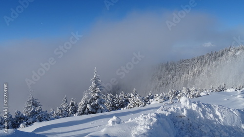 Winter wonderland im detail bei Sonne und Schnee © Delf