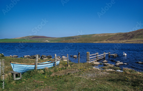 Ile de Yell  Iles Shetland  Ecosse  Grande Bretagne