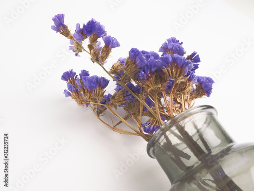 bunch of lavender flowers isolated on white background