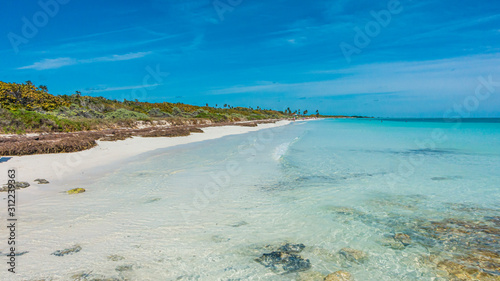 Picture of Sandspur Beach on Florida Keys in spring during daytime photo