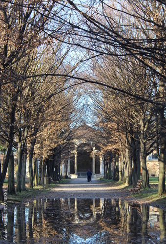 Viale alberato in Inverno © Alfons Photographer