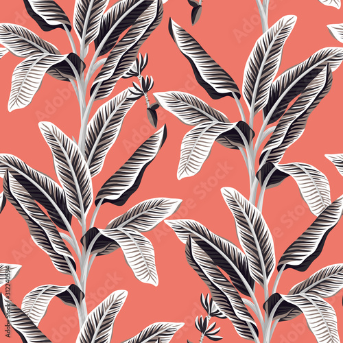 Tropical vintage black and white banana trees floral seamless pattern coral background. Exotic botanical jungle wallpaper.