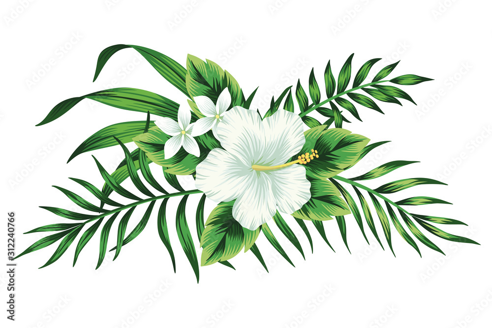 Tropical white hibiscus floral green leaves bouquet. Vector clip art