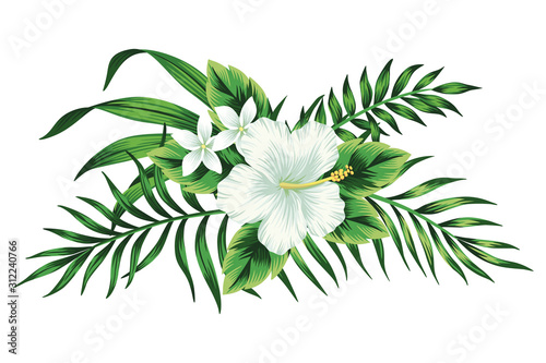 Tropical white hibiscus floral green leaves bouquet. Vector clip art. Jungle illustration.