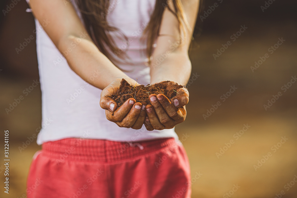 Child hand holding the soil, prepare for plant the tree. Agrarian with soil in his hands, quality control concept, agrarian business, food cultivation. Kids.
