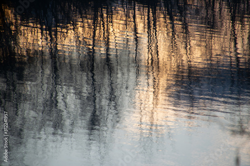 Trees reflections in a winter sunrise