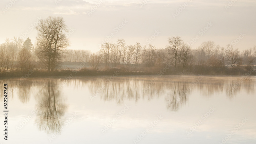 Trees reflection in a mist sunrise Trees reflection in a mist sunrise