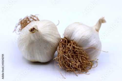 Natural orgaic garlic, Turkish Garlic photo