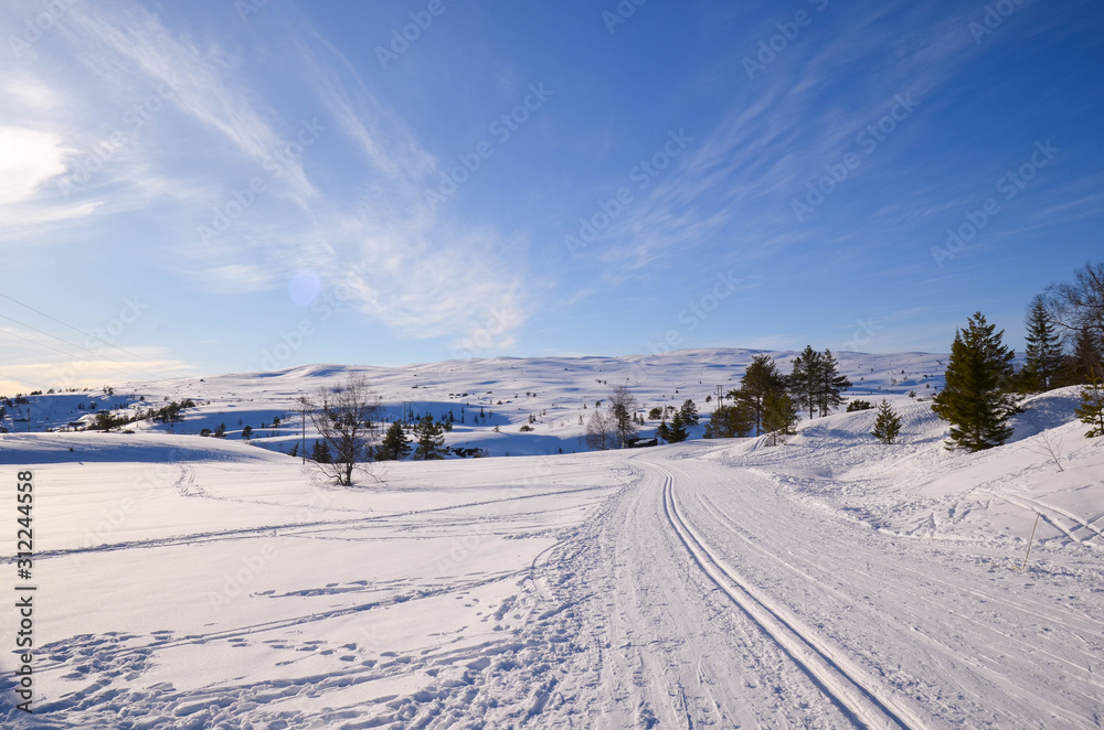 Fototapeta premium Winter Wunderland