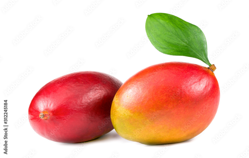 .two mangoes on a white background