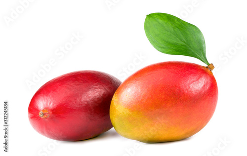 .two mangoes on a white background
