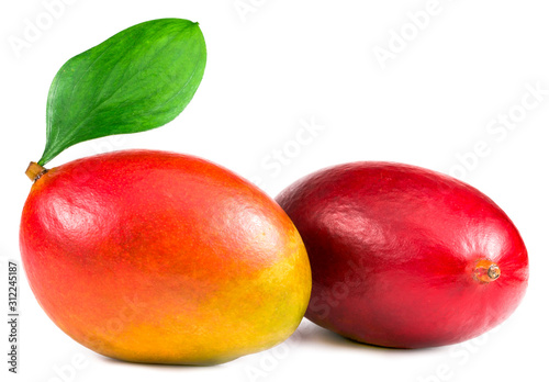 .two mangoes on a white background