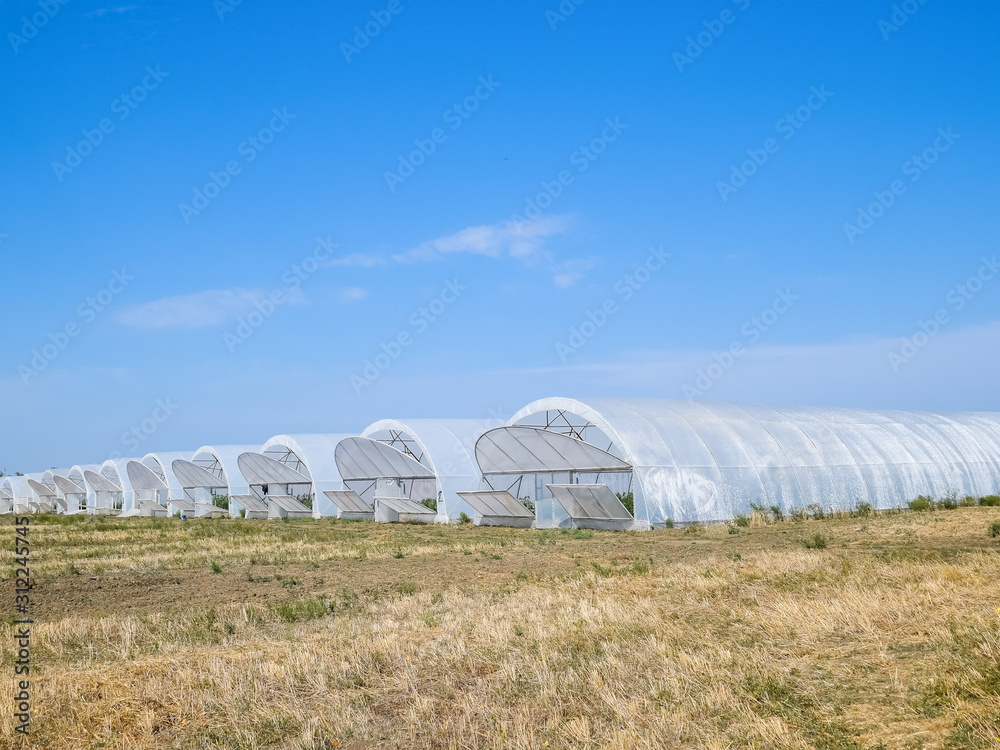 A group of greenhouses for growing tomatoes and cucumbers. A group of greenhouses for growing tomatoes and cucumbers.