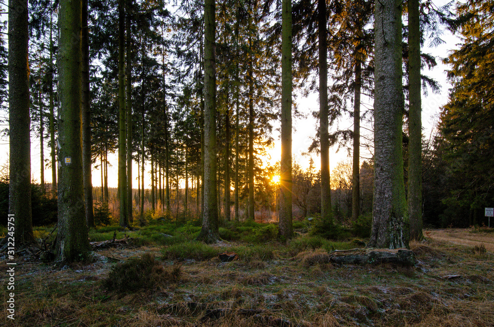 Obraz premium Ebbegebirge