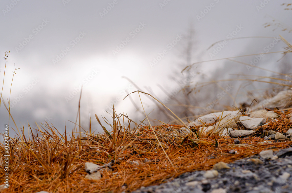 Fototapeta premium Bergtour