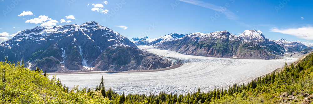 Panorama of Salmon Glacier and a chain of snow covered mountain peaks, Alaska
