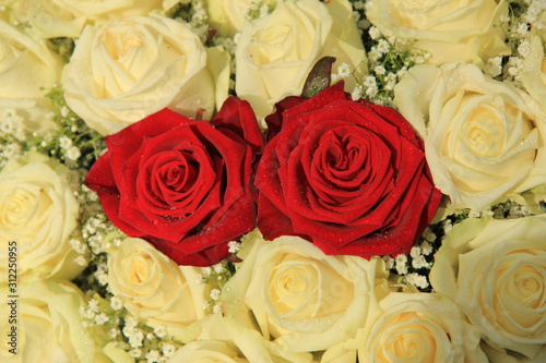 red roses in a white bouquet