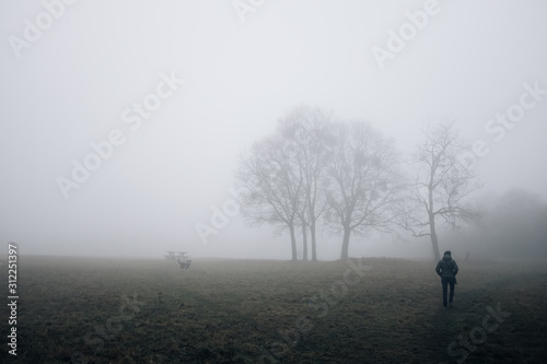 Woman in Mist with dog 