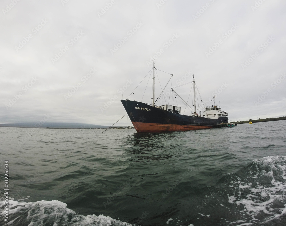 Fototapeta premium Big ship sailing the seas