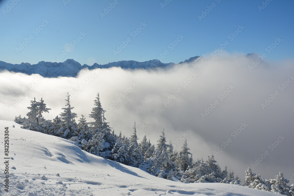 Winter wonderland im detail bei Sonne und Schnee