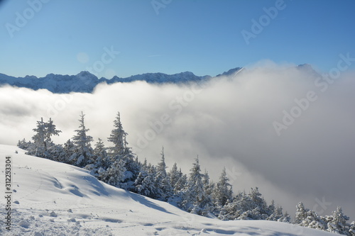 Winter wonderland im detail bei Sonne und Schnee © Delf
