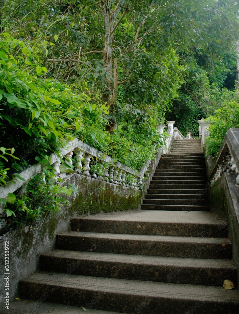 Stairway on the jungle leading to Kathu Waterfall, in the province of Phuket, Thailand.