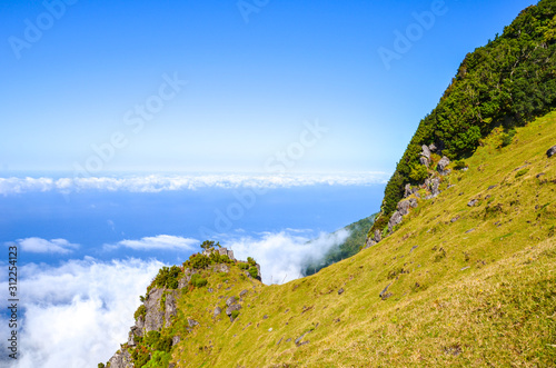 View from the top of the hill above the clouds in Fanal, Madeira Island, Portugal. Old laurel trees, laurisilva, on a hill. Laurel forest above the Atlantic ocean on a steep rock. Blue Atlantic ocean