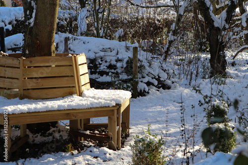 Winter im Naturgarten photo